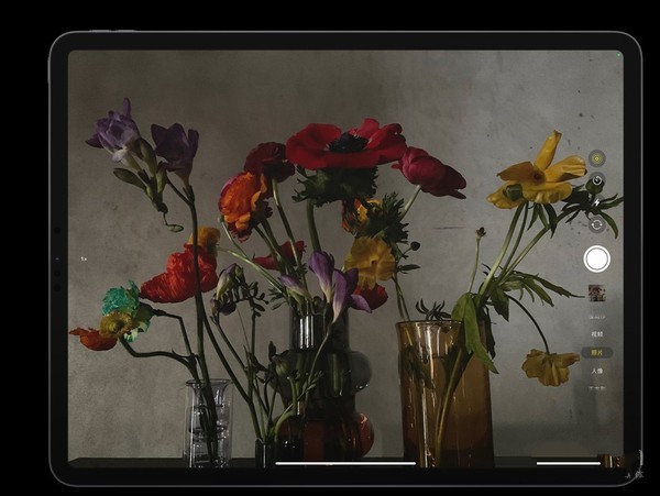 全新iPad Pro