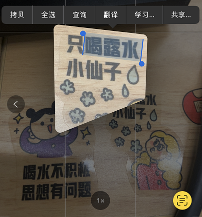 iOS 15虽然被群嘲了！但我发现它的一些隐藏功能还挺好用